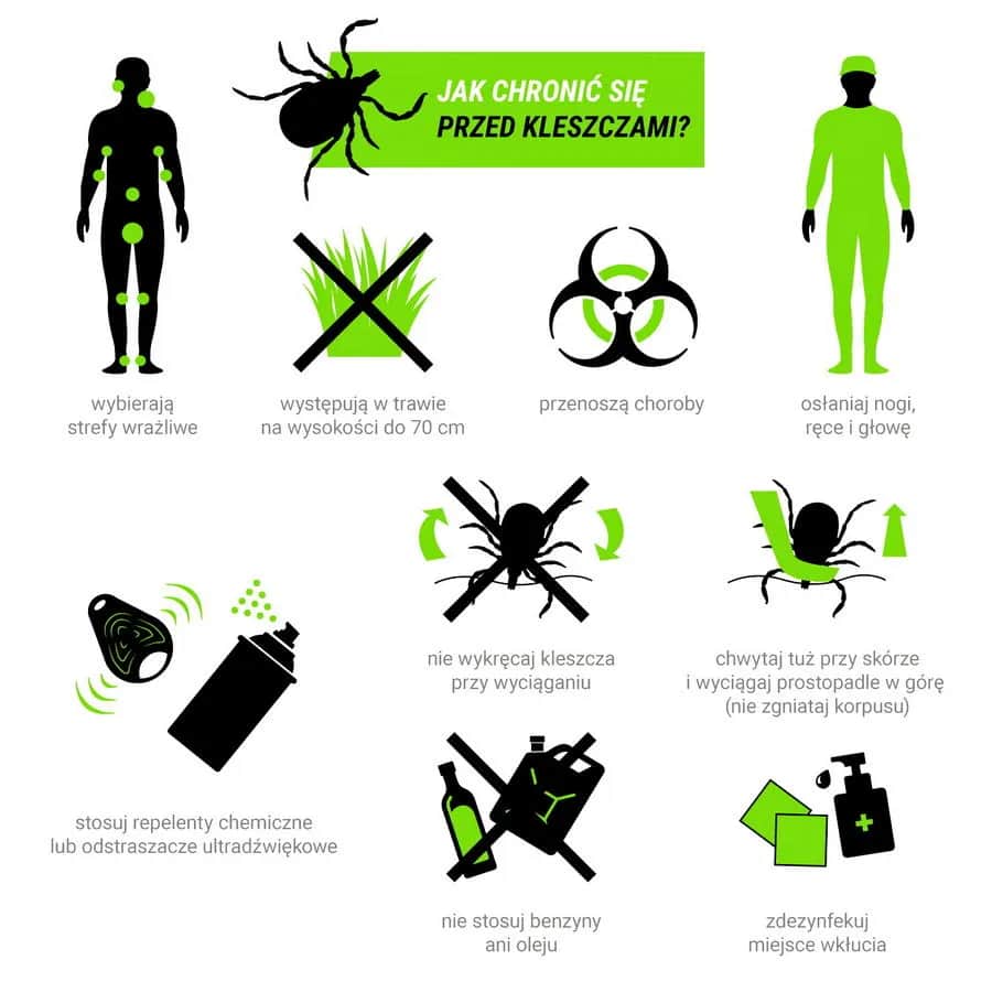 Bezpieczne sposoby ochrony dziecka przed kleszczami - poradnik